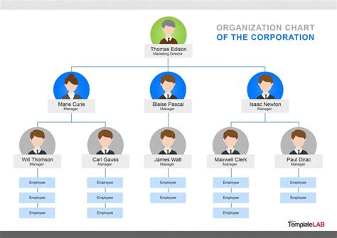 Organizational Chart Template Word