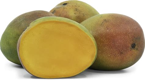 Kent Mangoes Information and Facts