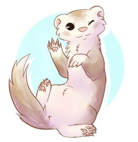 Pin on Ferrets!