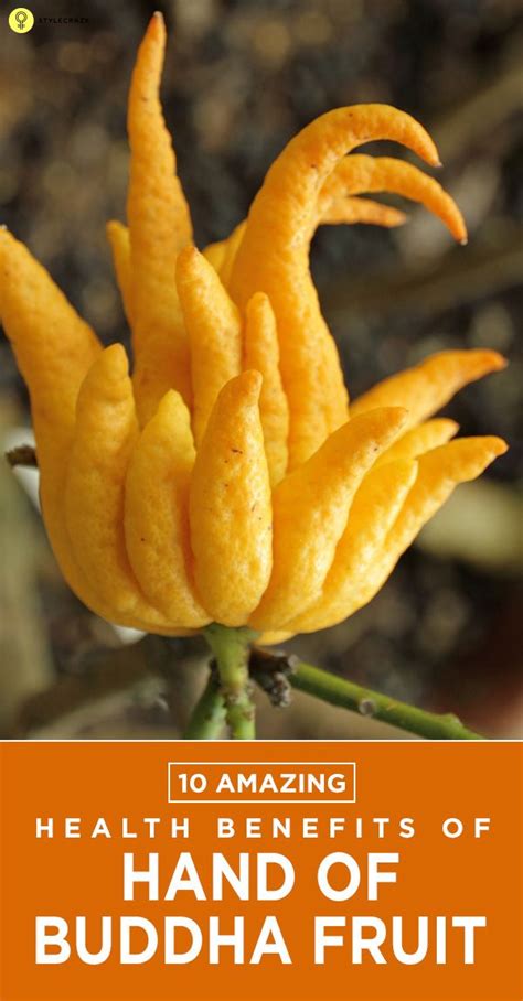 10 Amazing Health Benefits Of Hand Of Buddha Fruit | Fruit benefits ...