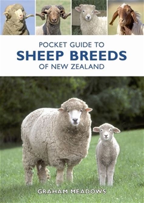 Pocket Guide to Sheep Breeds of New Zealand | Graham Meadows Book | Buy ...