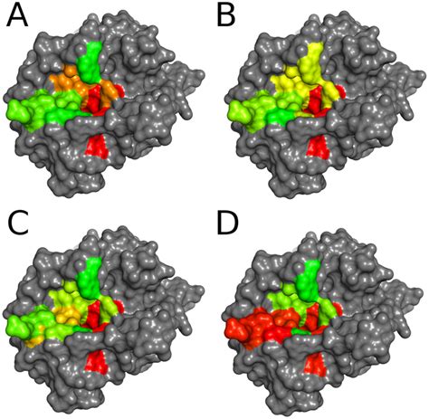 Water thermodynamics within the thrombin binding site in comparison ...