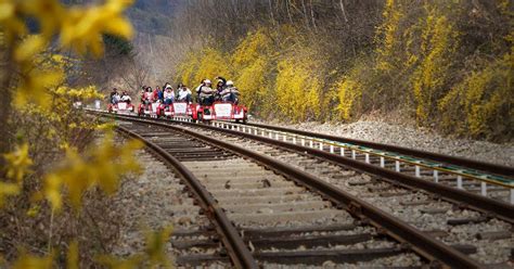 Best Rail Bike Rides in Korea