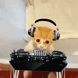 Dj GIF - Find & Share on GIPHY