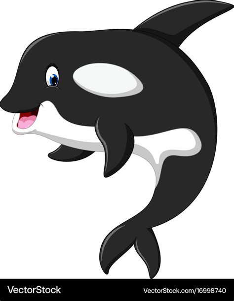 Cute killer whale cartoon Royalty Free Vector Image