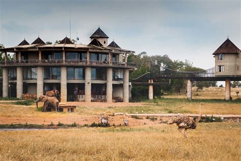 TOP 10 SAFARI LODGES IN KENYA(2022) - Uzamart