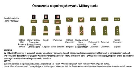 1:48 Military ranks & unit insignia - Polish Forces 1940-46