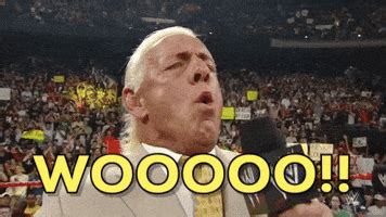 Ric Flair GIF by WWE - Find & Share on GIPHY