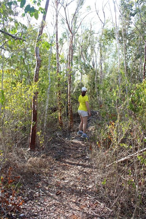 Cayman Brac hiking | Cayman brac, Cayman islands, Cayman