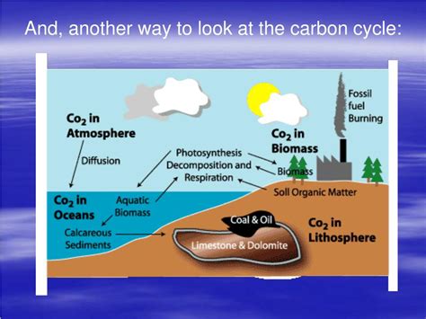 PPT - Geochemical Cycles PowerPoint Presentation, free download - ID:651605