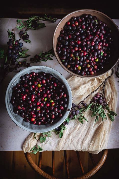 10+ Beach Plum Jelly Recipe - DallasAkemi