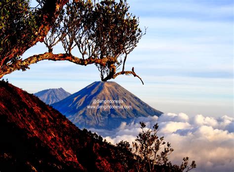 Maha Prau Puncak Tertinggi Gunung Dieng