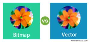 Bitmap vs Vector | 17 Amazing Comparisons of Raster vs Vector