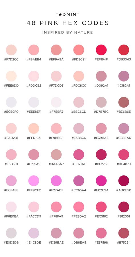 Pink Color Palettes for Web Design: A Quick Guide — TADMINT — Design ...