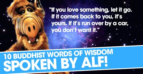 10 Buddhist Words of Wisdom Spoken by Alf