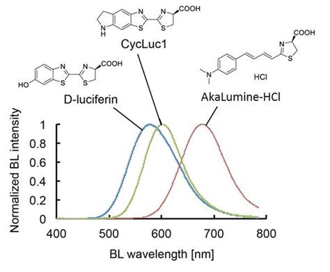 Bioluminescence Emission Spect [IMAGE] | EurekAlert! Science News Releases