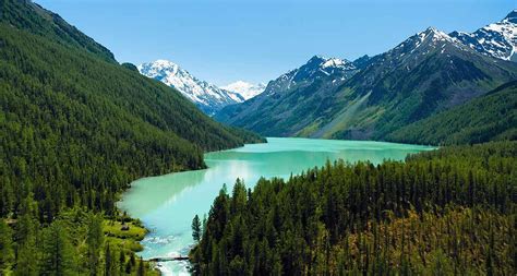 The Ancient Tropical Forests of Siberia | by Ron The Siberian | Siberia ...