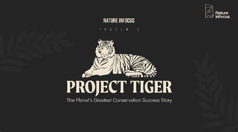 Project Tiger | Nature inFocus