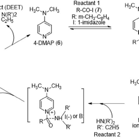 -Method for synthesis of DEET from compound 2 and diethylamine using ...