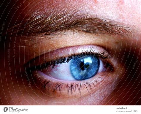 #A10# Grey-blue Eyes peer - a Royalty Free Stock Photo from Photocase