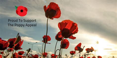 Poppy Appeal: Our Year Supporting The Armed Forces