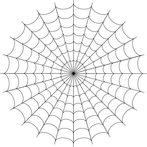 Spider Web PNG Image | PNG Mart