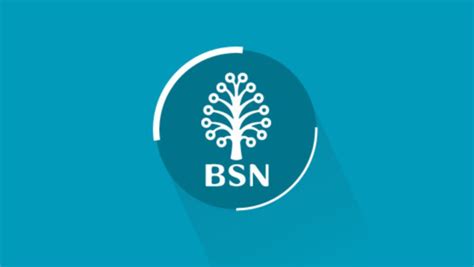 Logo Bsn Baru - Bsn Brands Of The World Download Vector Logos And ...