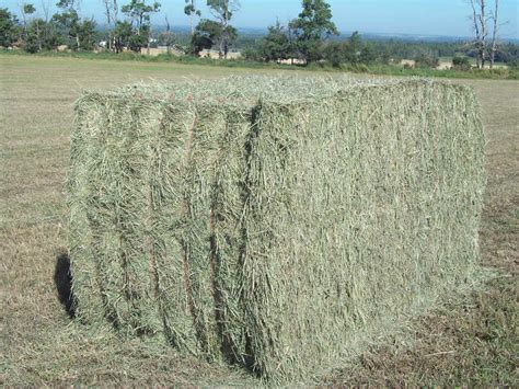 Large Square Bale – Chisholm Creek Farm