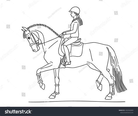 Horse Rider Sketch Photos and Images | Shutterstock