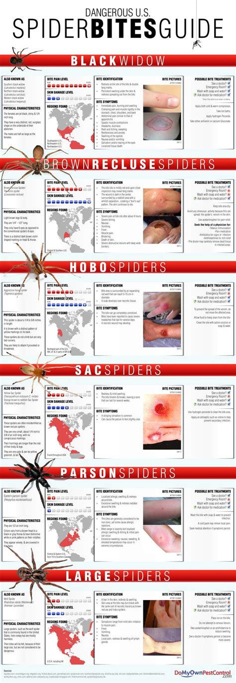 11 best images about spider bite on Pinterest | Aspirin, Prepping and ...