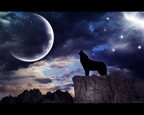 Wolf Pack Wallpapers - Top Free Wolf Pack Backgrounds - WallpaperAccess