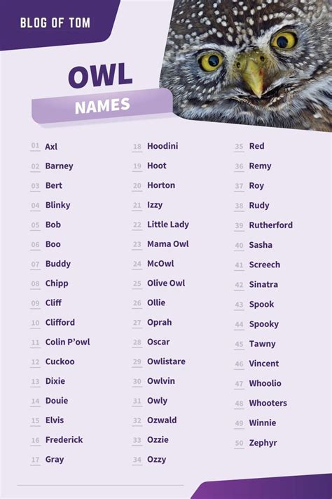 Owl Names (500+ Cute & Cool, Male & Female Ideas) | Fantasy names ...