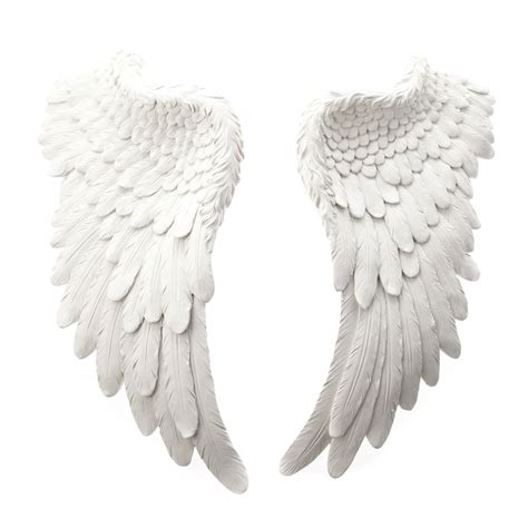 Angel Wings Side View Images & Pictures - Becuo