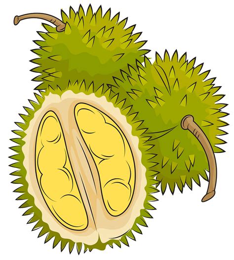 durian png cartoon - Clip Art Library