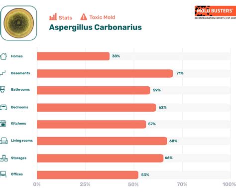 Aspergillus carbonarius - Species, Allergy, Health Symptoms, Treatment