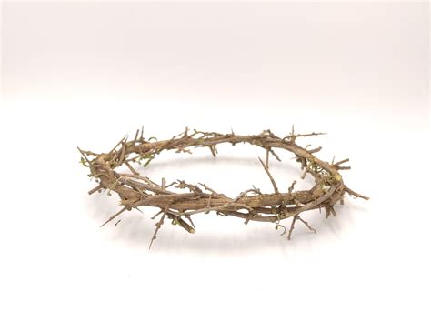 Crown of Thorns Hand Made From Natural Plant Jerusalem Holy - Etsy