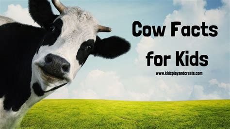 Amazing Cow Facts for Kids with Free Printables - Kids Play and Create