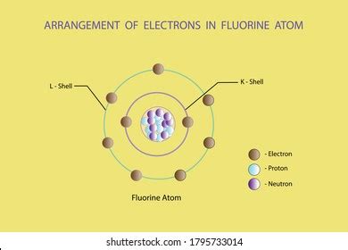 Vector Diagram Arrangement Electrons Fluorine Atom Stock Vector ...