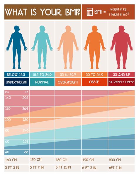 Bmi obesity scale - MeagenSolenne