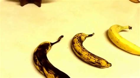 Enzymatic Browning--Bananas - YouTube