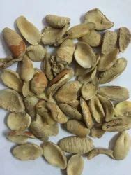 Irvingia Gabonensis Seed - Wild Mango Seeds Latest Price, Manufacturers ...