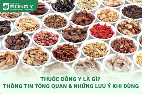 Thuốc Đông Y Là Gì? - Những Thông Tin Mới Nhất [2024 ]