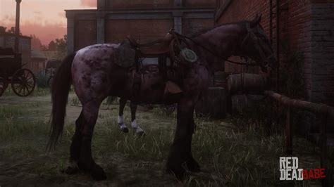 Mustang | RDR2 Horse Breeds Coats, Locations & Stats