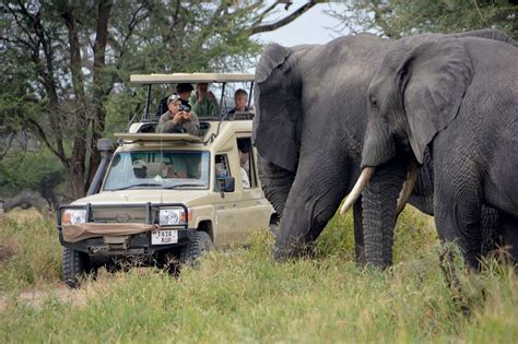 5 Days Tanzania Luxury Safari | Tanzania Wildlife Safari Packages