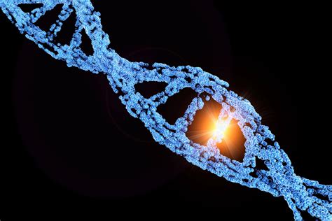 Genetic Variation Definition, Causes, and Examples