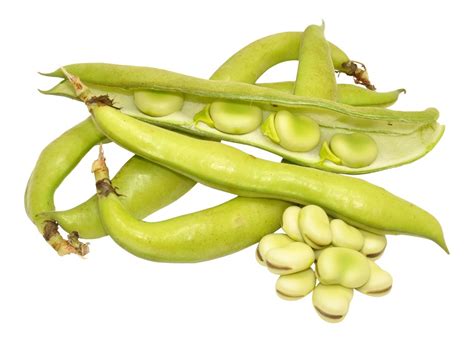 Fresh Pick of the Week: Fava Beans - Certified Farmers' Markets of the ...