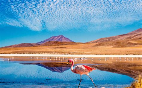 Why the Atacama Salt Flats Are Like Nowhere Else on Earth | Travel ...