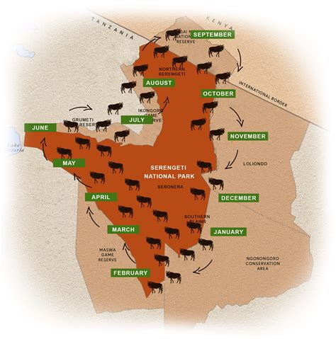 Wildebeest Migration Map