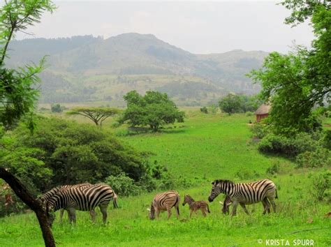 South Africa trip journal: Mlilwane Wildlife Sanctuary in Swaziland ...