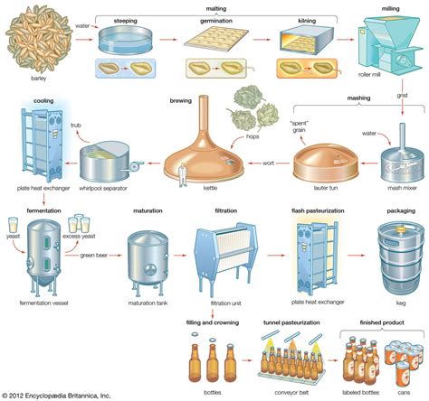 Beer - Ales, Lagers, Stouts | Britannica